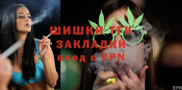индика Беломорск