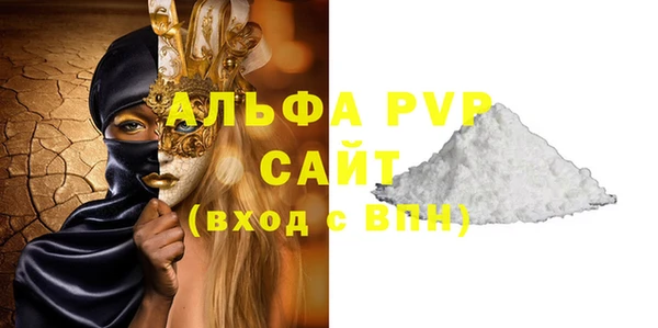 индика Беломорск