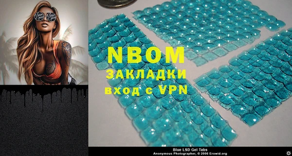индика Беломорск