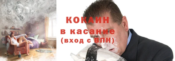 индика Беломорск