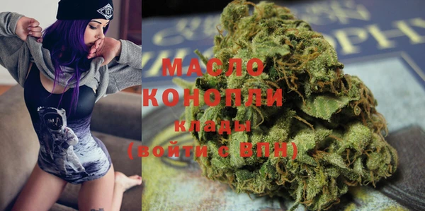 индика Беломорск