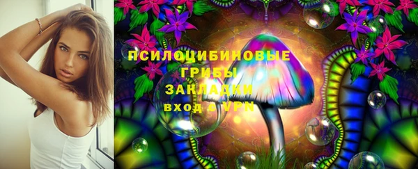 мет Белокуриха