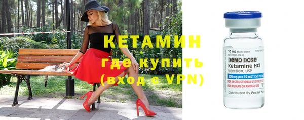 индика Беломорск