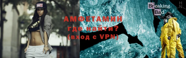 индика Беломорск