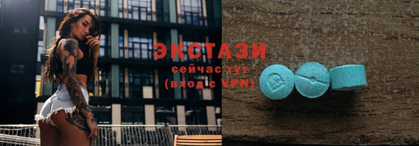 индика Беломорск