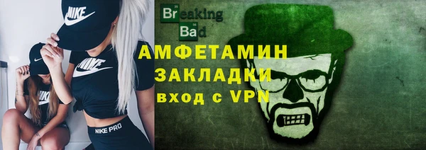 индика Беломорск